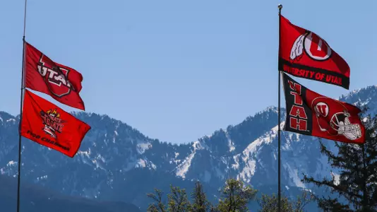 tailgate flags