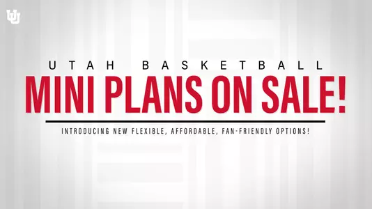 Mini Ticket Plans
