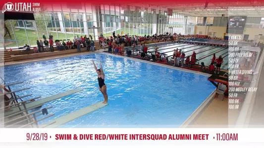 Alumni Meet