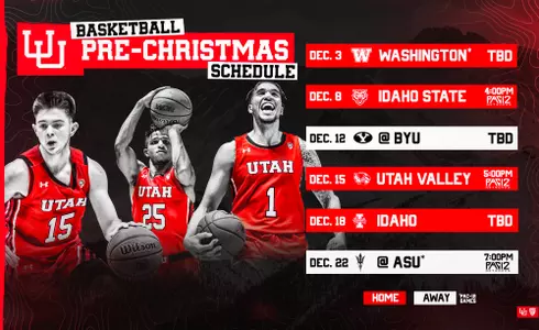 11-23-20 - Pre-Xmas Schedule GFX