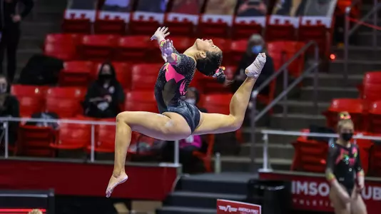 Alexia Burch vs. Arizona
