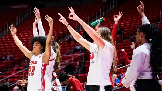 WBB Bench