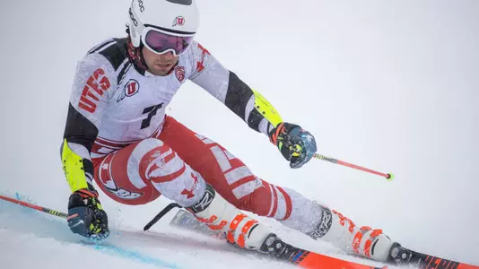 Tomas Birkner