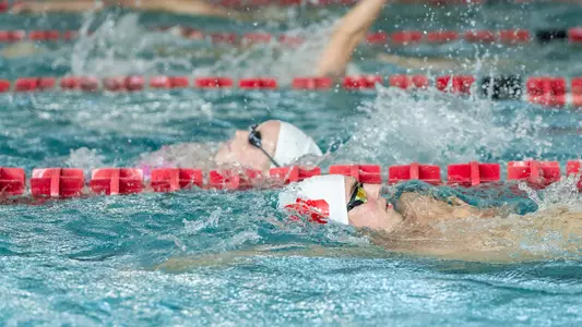 Swim and Dive