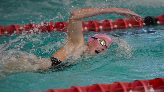 Swim and Dive