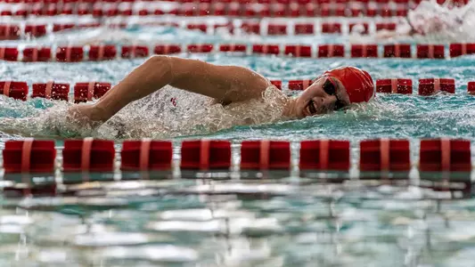 Swim and Dive