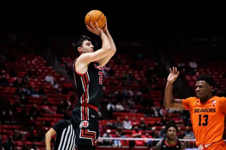 20_Stefanovic_Lazar_MBB_OSU_NG22_1
