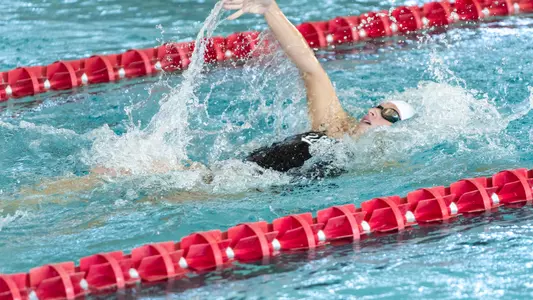 Swim and Dive