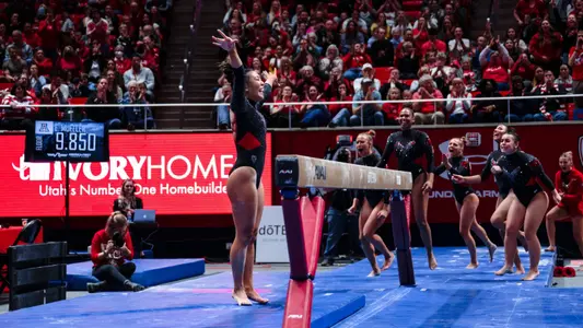 Cristal Isa vs. Arizona