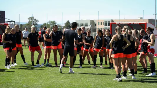 Season Preview