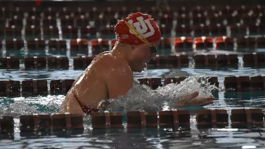 Utah Swim and Dive Colorado