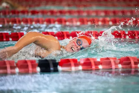 Swim and Dive