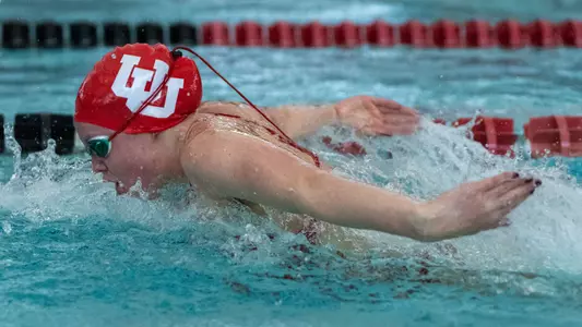 Swim and Dive