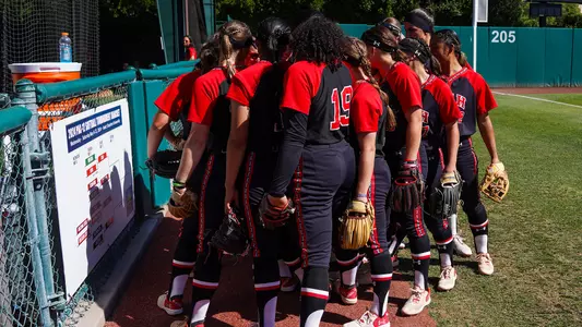 Softball Team 2024