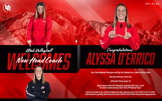 Alyssa D'Errico New Volleyball HC