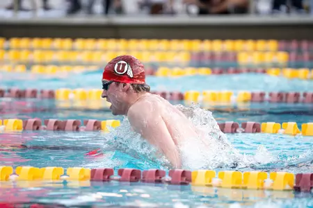 Swim and Dive at ASU