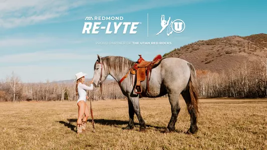 Utah Gym + Redmond