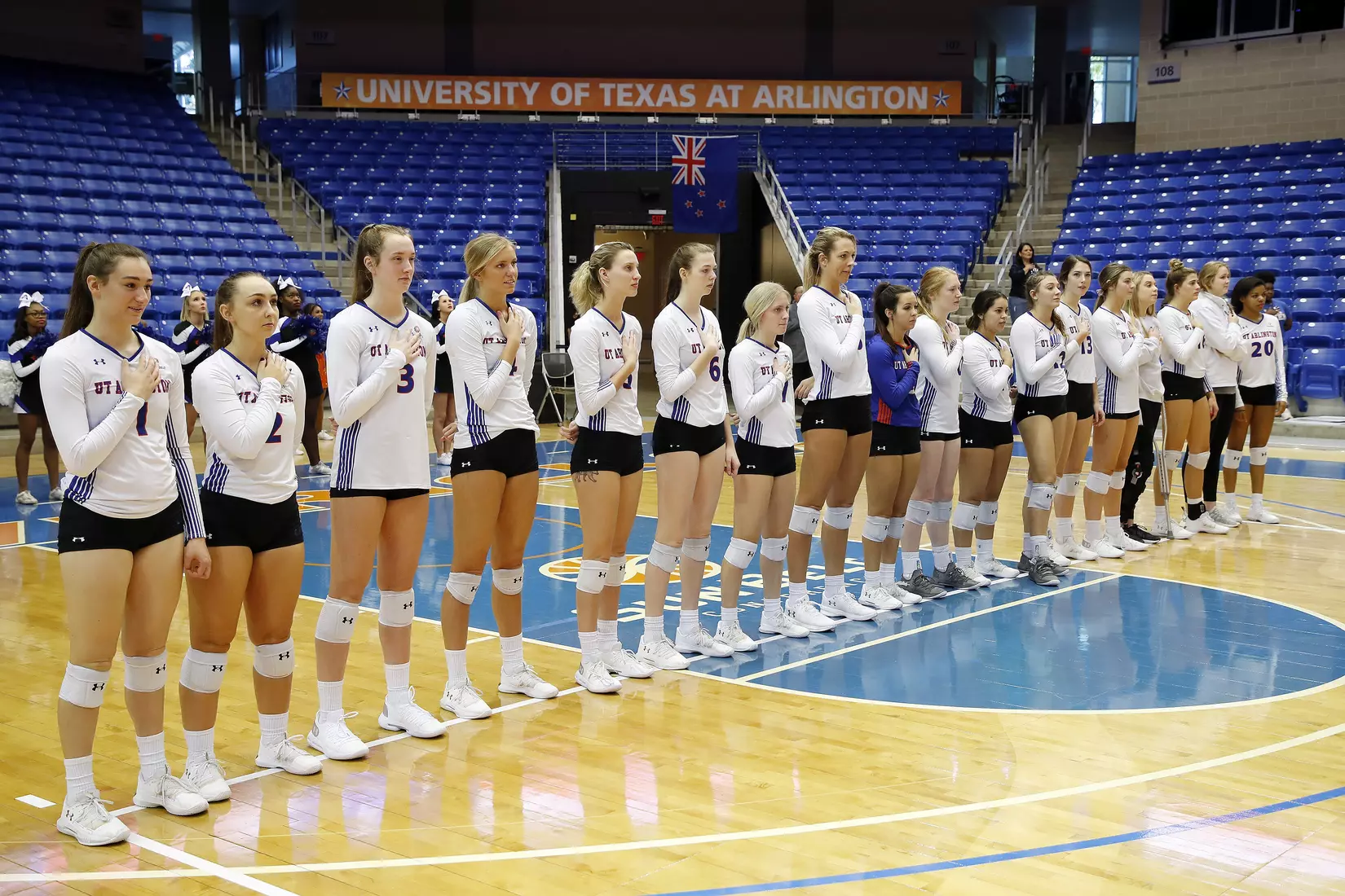 UTA vs Little Rock Volleyball in Arlington, Texas on November 10, 2019. (Photo by/Gregg Ellman)