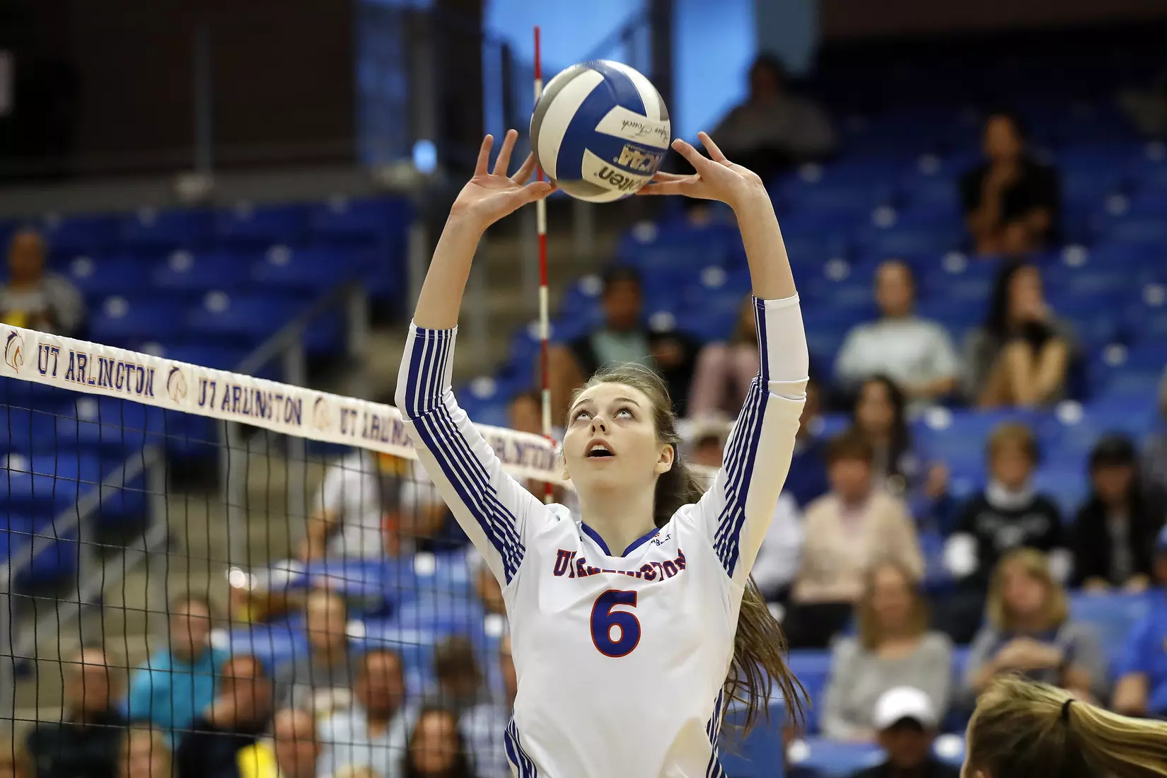 UTA vs Little Rock Volleyball in Arlington, Texas on November 10, 2019. (Photo by/Gregg Ellman)
