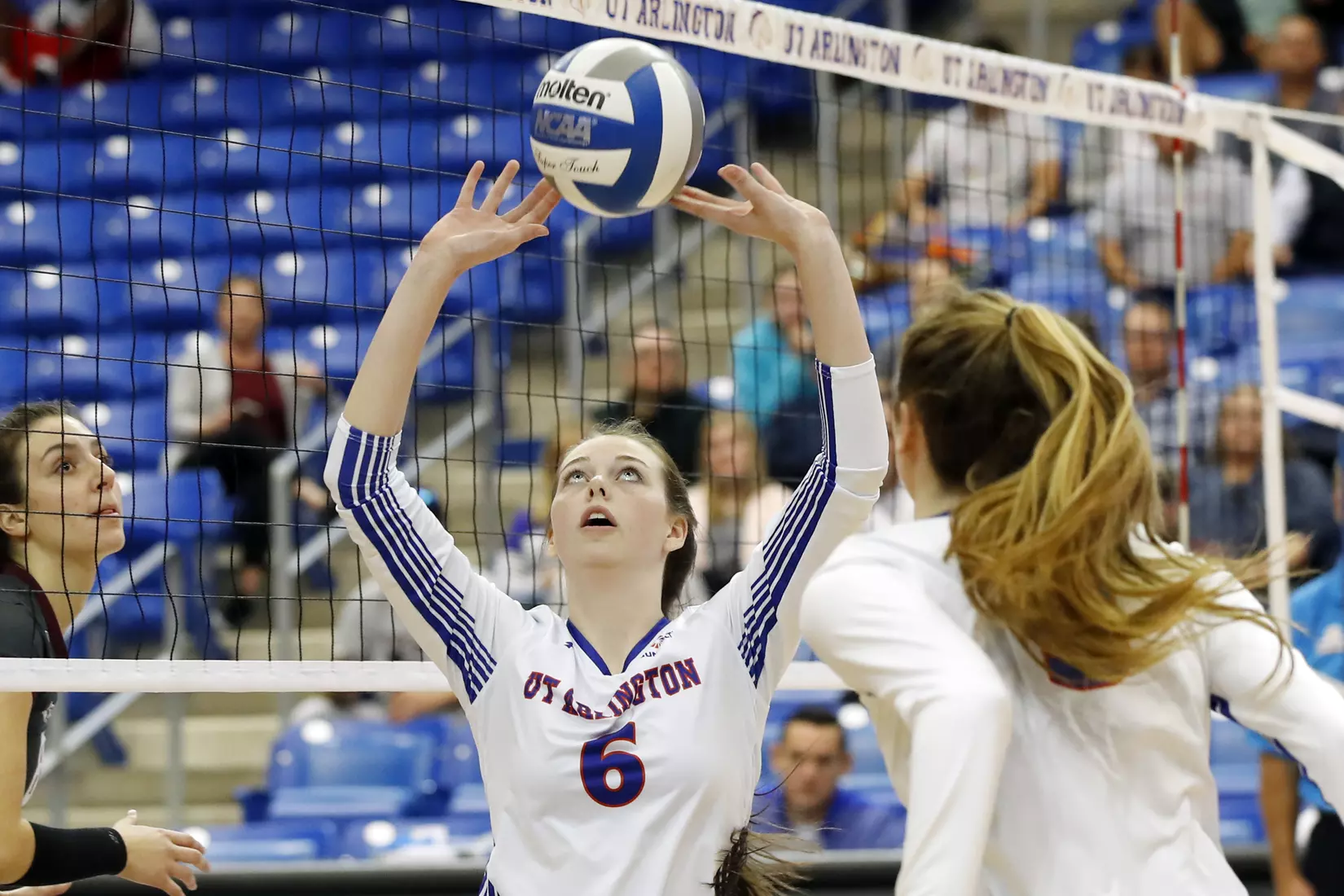 UTA vs Little Rock Volleyball in Arlington, Texas on November 10, 2019. (Photo by/Gregg Ellman)