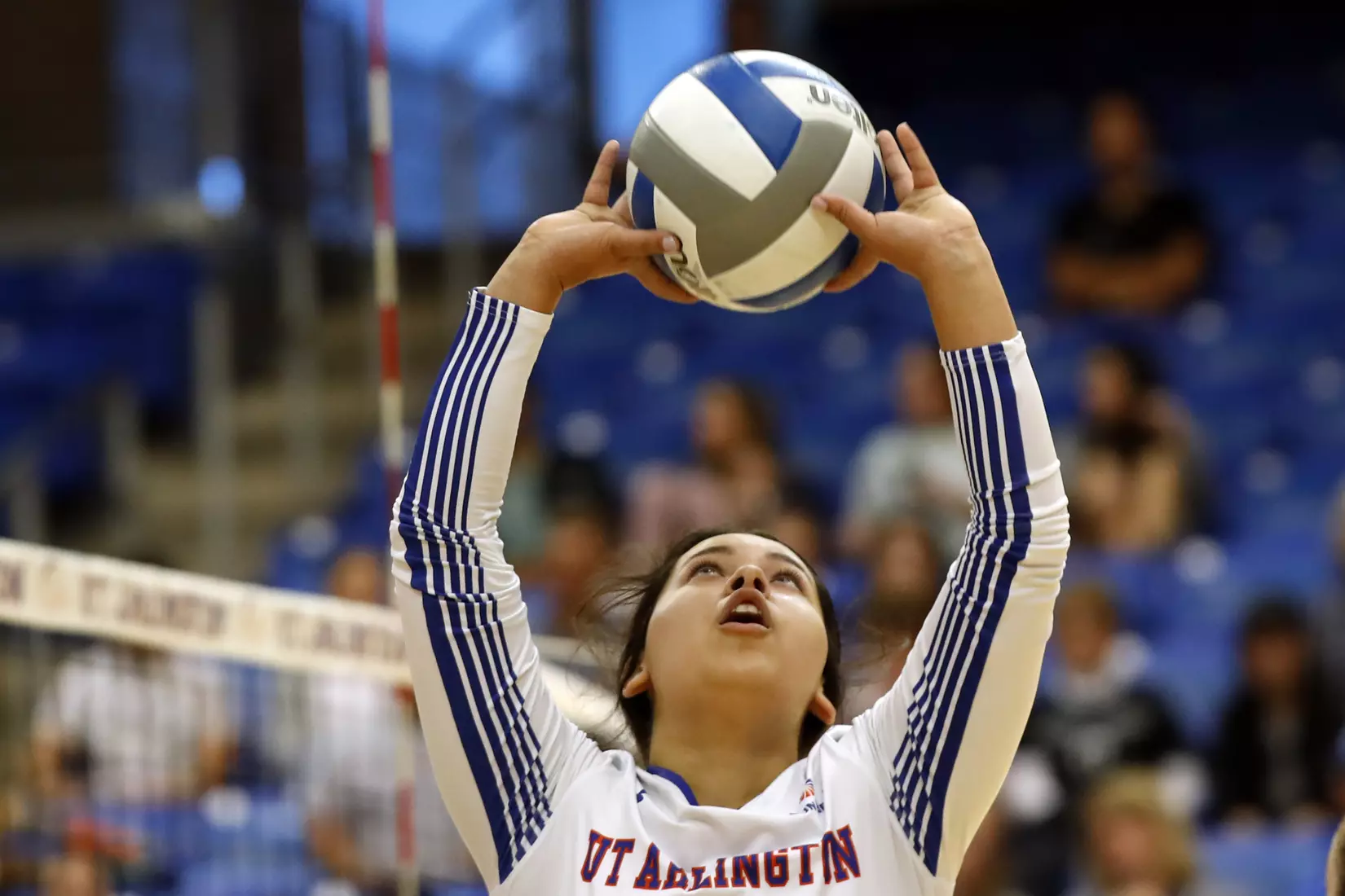 UTA vs Little Rock Volleyball in Arlington, Texas on November 10, 2019. (Photo by/Gregg Ellman)