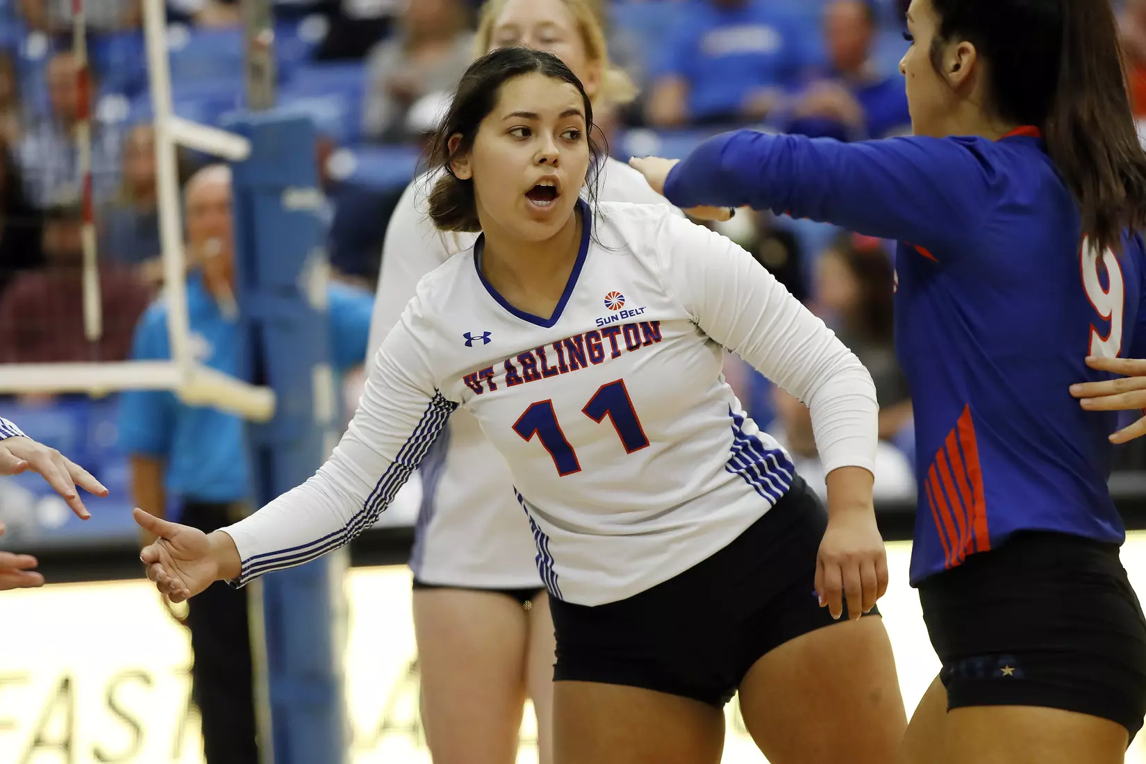 UTA vs Little Rock Volleyball in Arlington, Texas on November 10, 2019. (Photo by/Gregg Ellman)