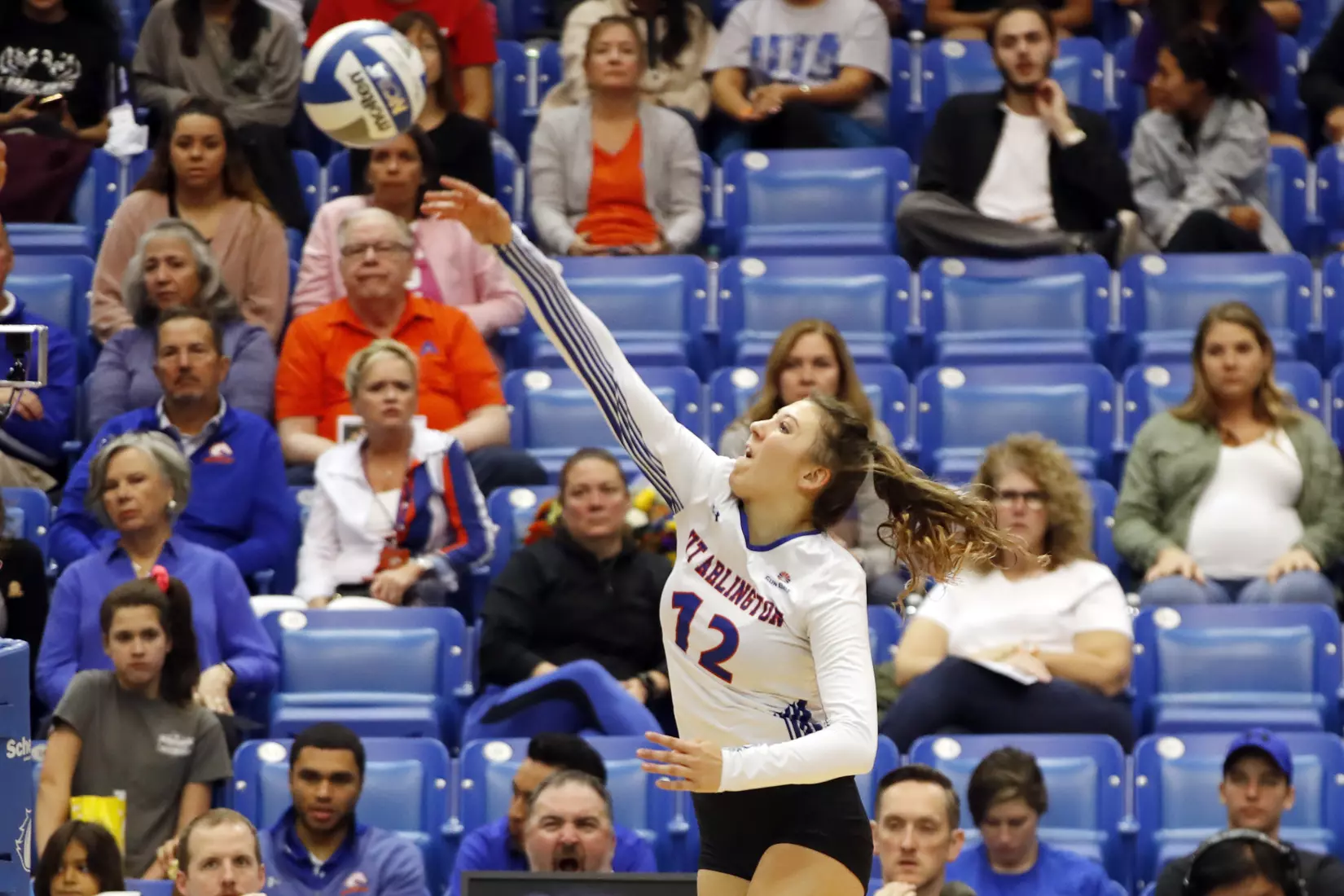 UTA vs Little Rock Volleyball in Arlington, Texas on November 10, 2019. (Photo by/Gregg Ellman)