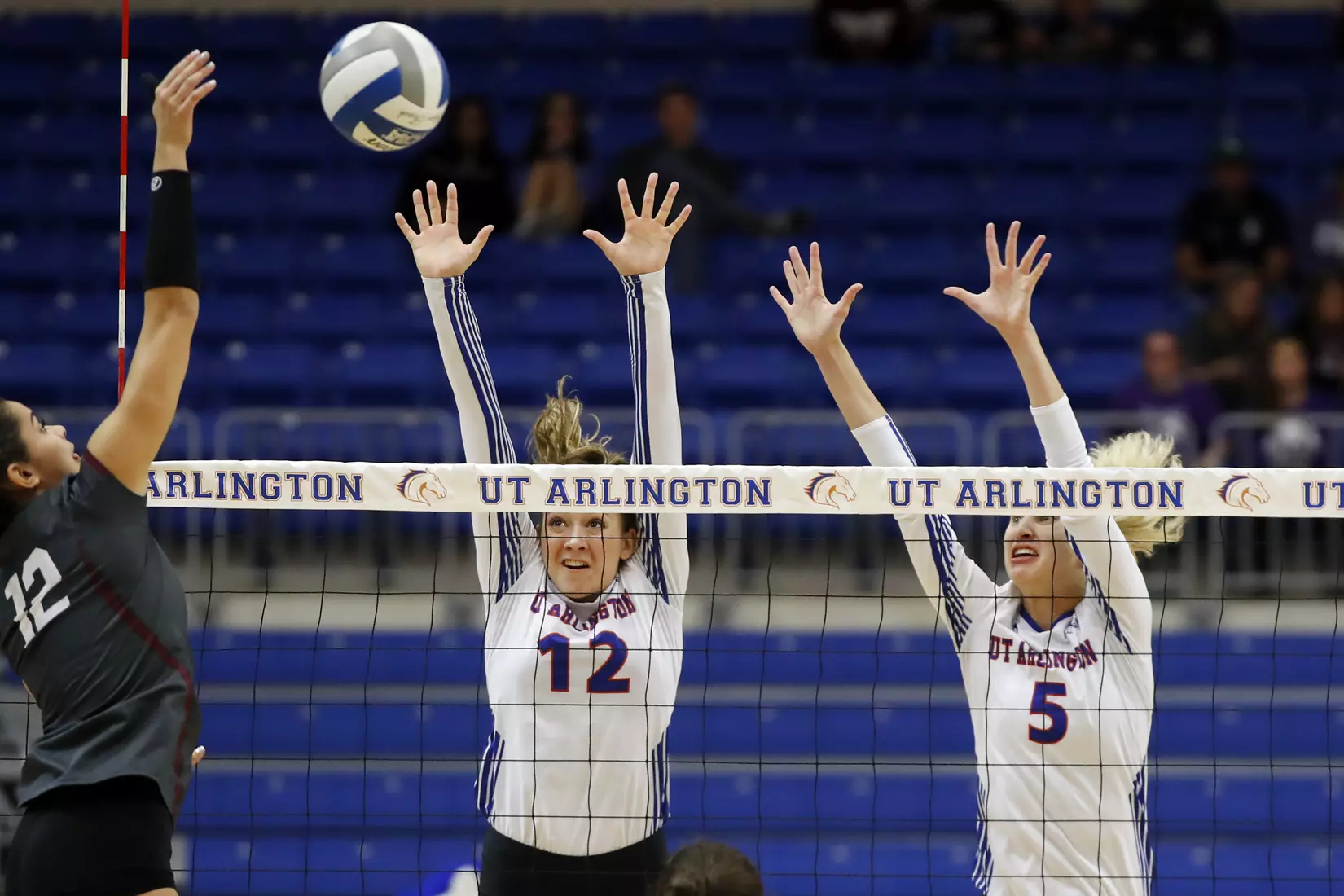 UTA vs Little Rock Volleyball in Arlington, Texas on November 10, 2019. (Photo by/Gregg Ellman)