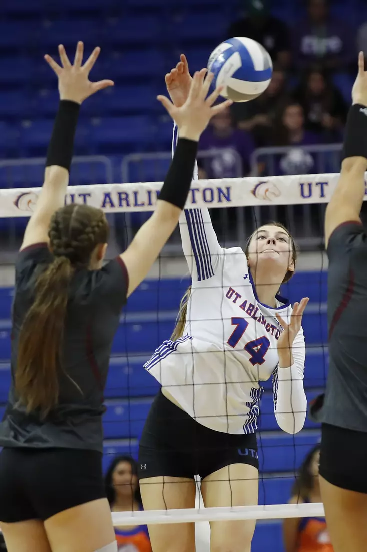 UTA vs Little Rock Volleyball in Arlington, Texas on November 10, 2019. (Photo by/Gregg Ellman)