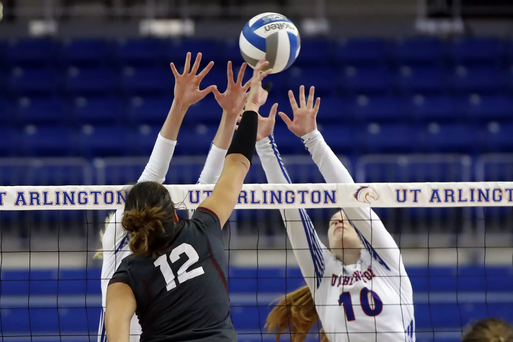 UTA vs Little Rock Volleyball in Arlington, Texas on November 10, 2019. (Photo by/Gregg Ellman)