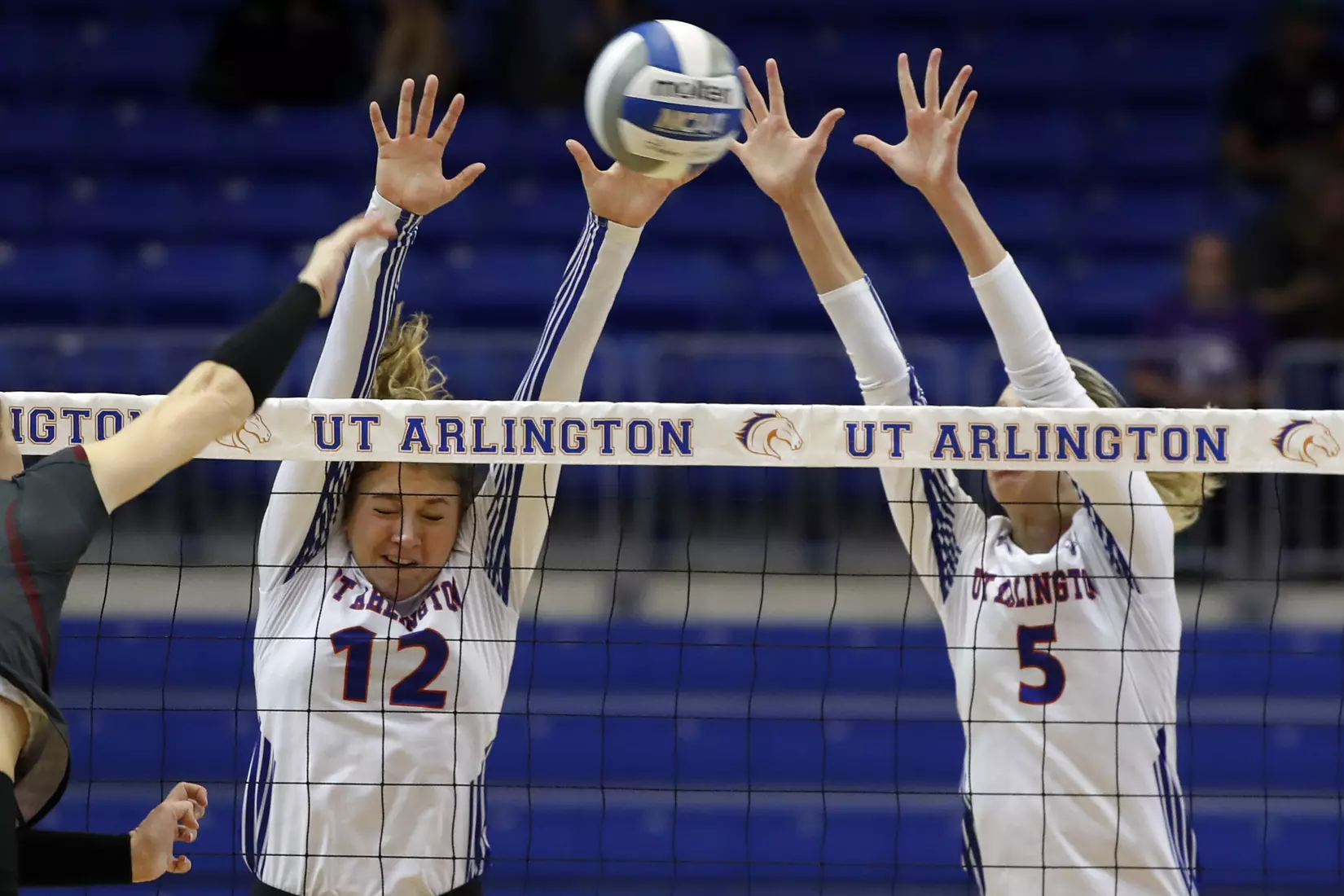 UTA vs Little Rock Volleyball in Arlington, Texas on November 10, 2019. (Photo by/Gregg Ellman)