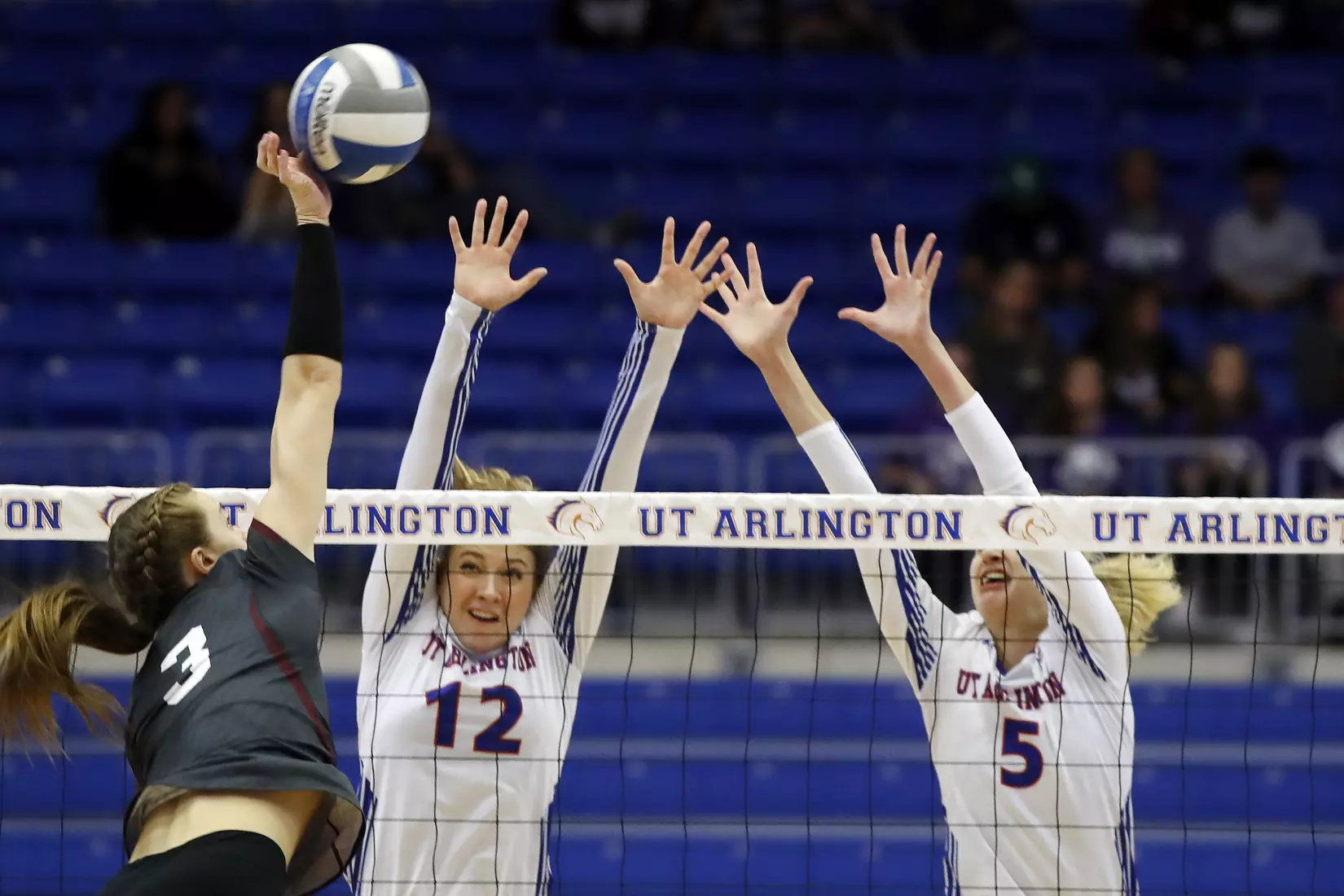 UTA vs Little Rock Volleyball in Arlington, Texas on November 10, 2019. (Photo by/Gregg Ellman)