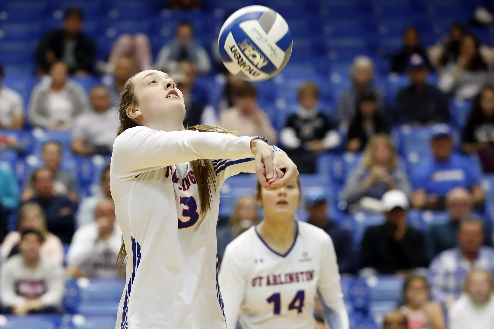 UTA vs Little Rock Volleyball in Arlington, Texas on November 10, 2019. (Photo by/Gregg Ellman)