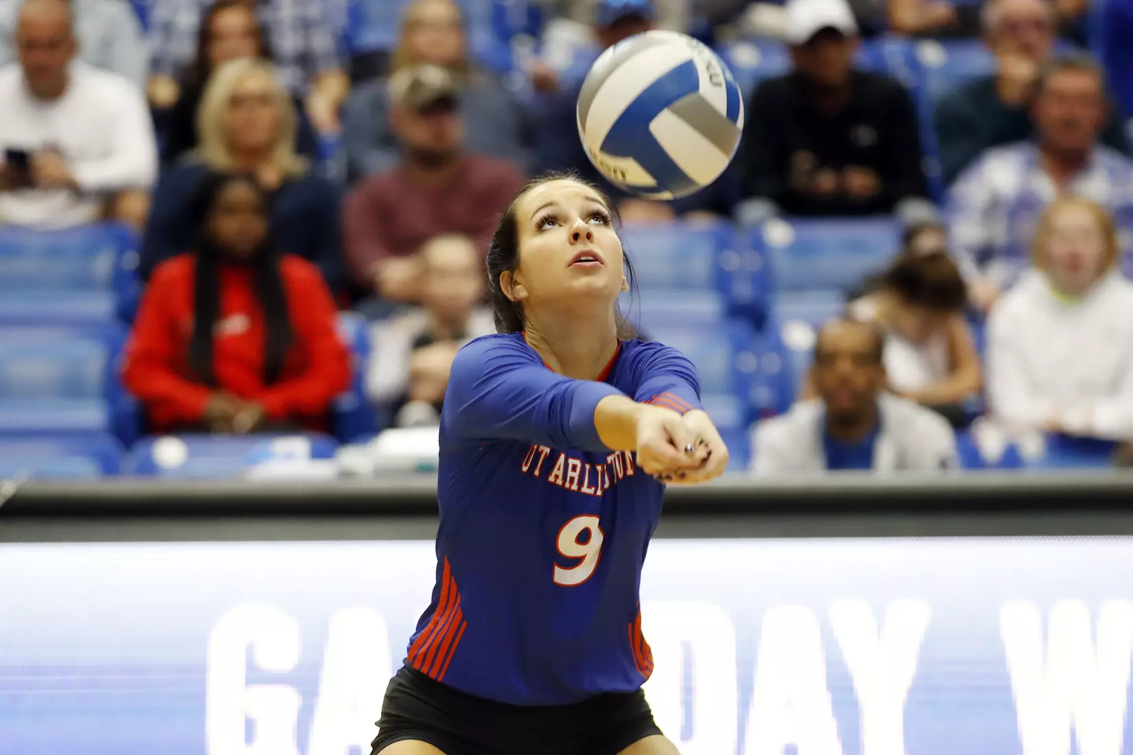 UTA vs Little Rock Volleyball in Arlington, Texas on November 10, 2019. (Photo by/Gregg Ellman)