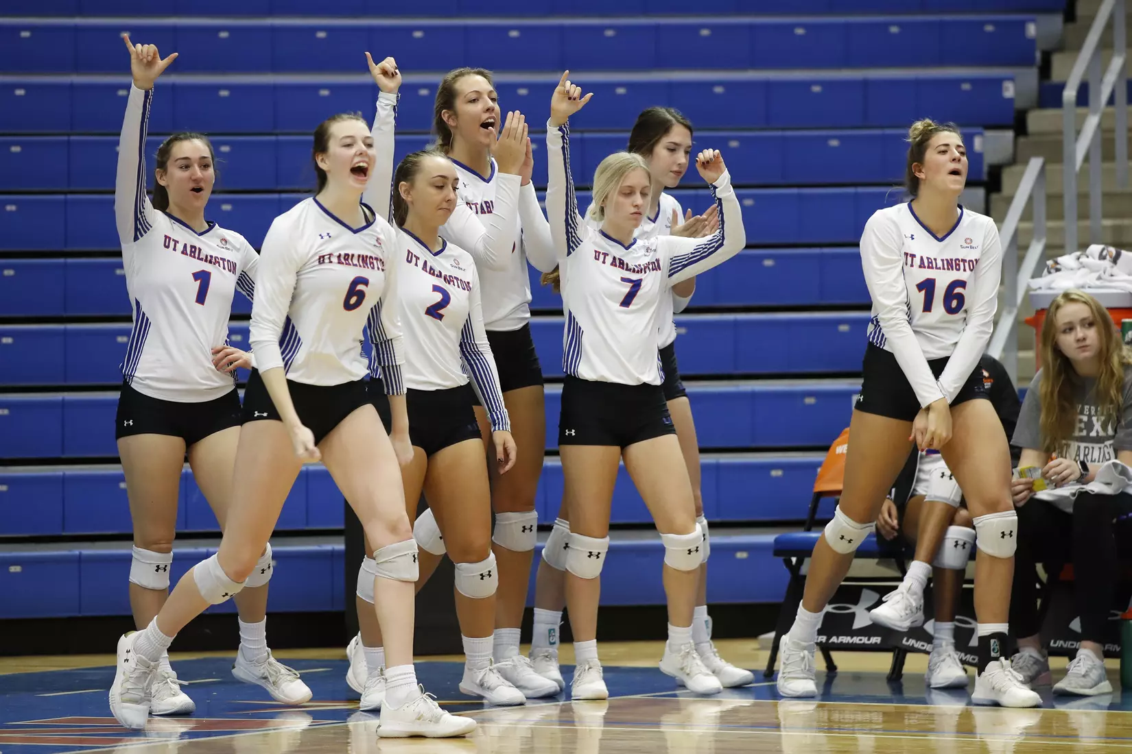 UTA vs Little Rock Volleyball in Arlington, Texas on November 10, 2019. (Photo by/Gregg Ellman)