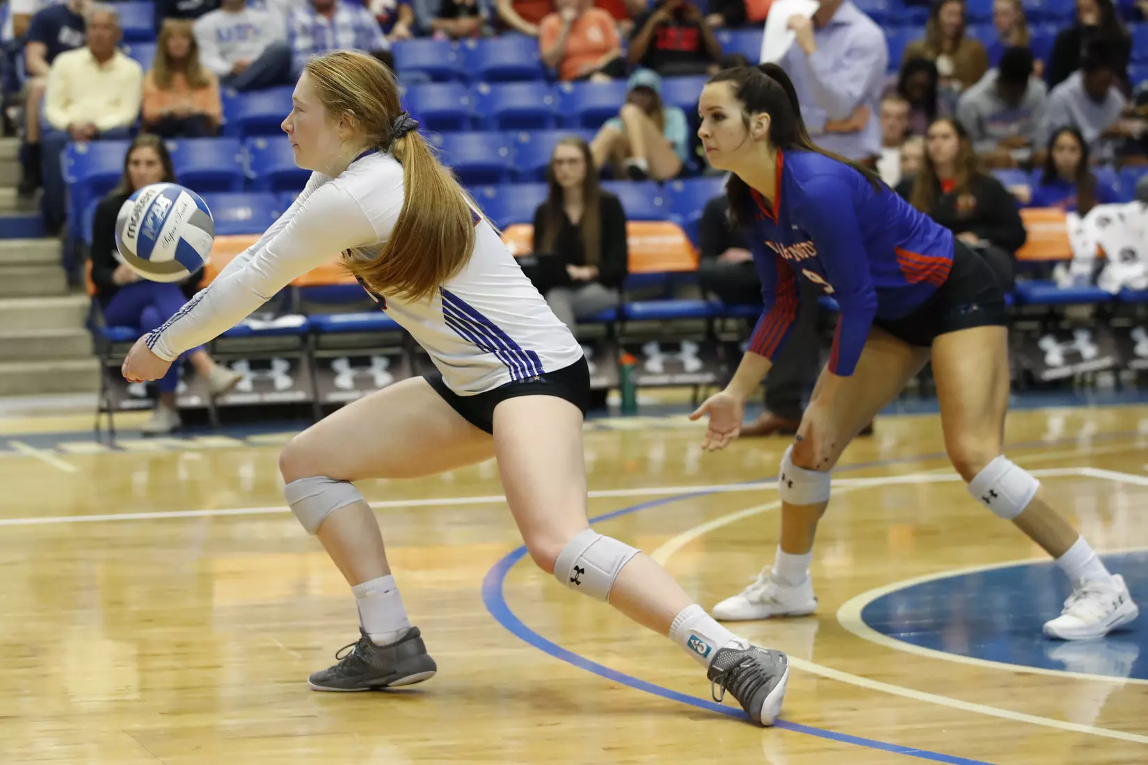 UTA vs Little Rock Volleyball in Arlington, Texas on November 10, 2019. (Photo by/Gregg Ellman)