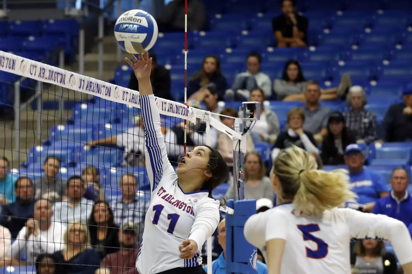UTA vs Little Rock Volleyball in Arlington, Texas on November 10, 2019. (Photo by/Gregg Ellman)