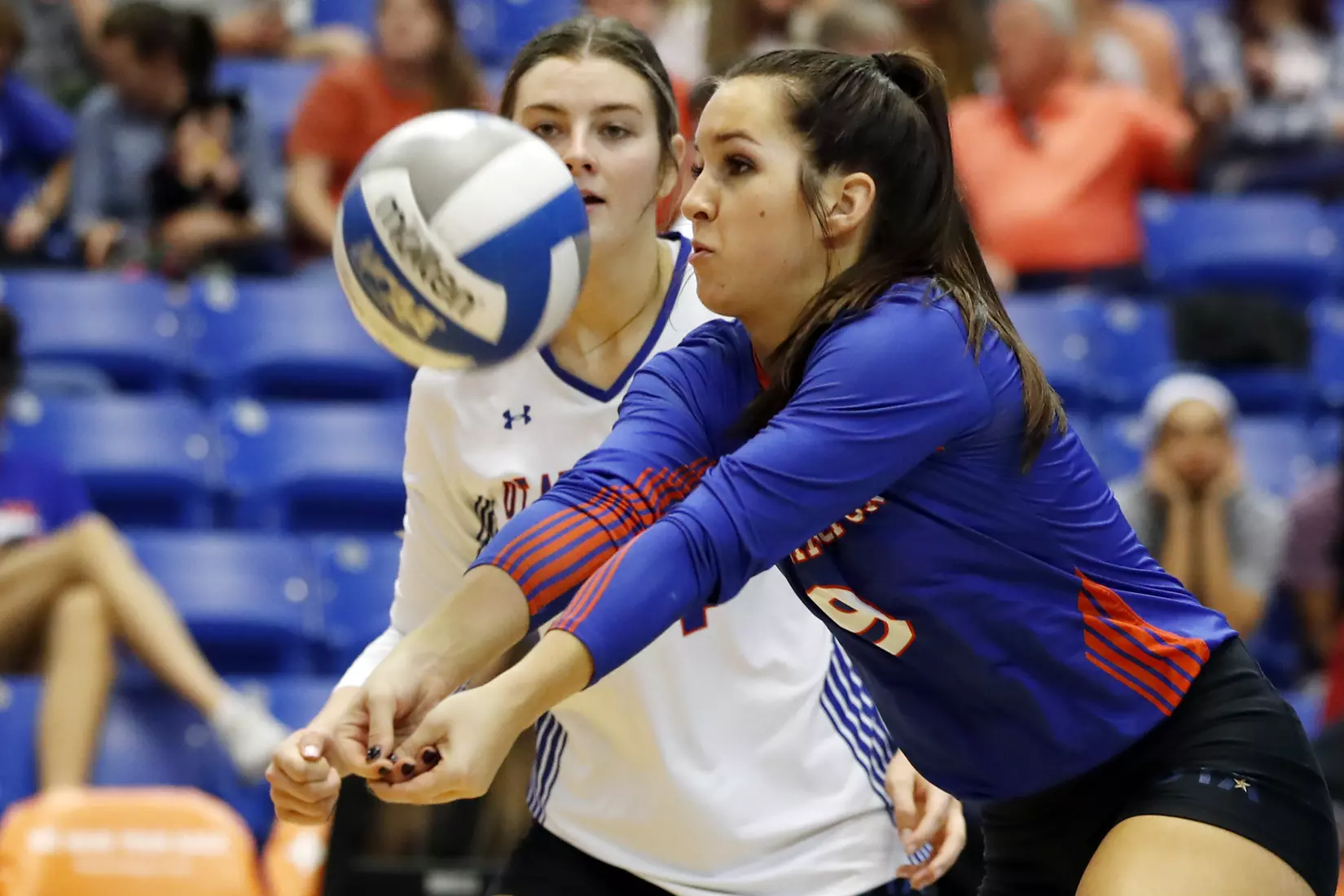 UTA vs Little Rock Volleyball in Arlington, Texas on November 10, 2019. (Photo by/Gregg Ellman)