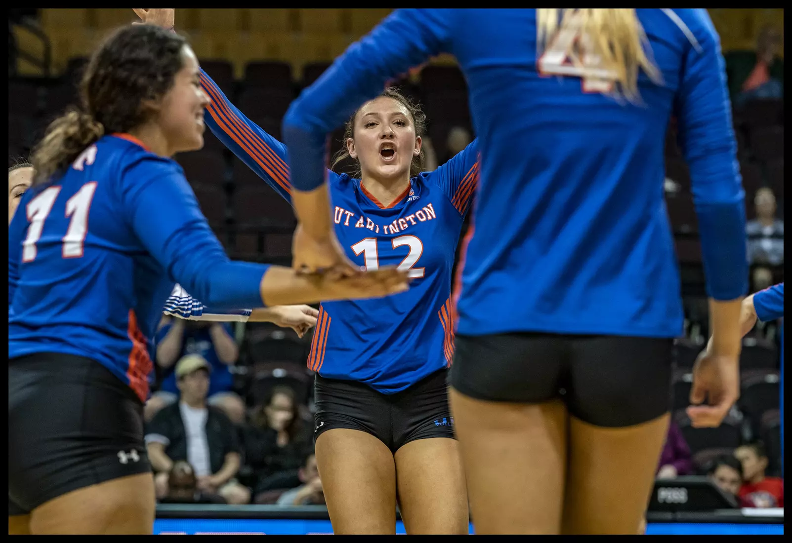 VOLLEYBALL - 2019 - Sun Belt Conference Championship, First Round - Thurs, 21 Nov, Match 2 (7) UTA vs (6) Appalachian State, 1930L