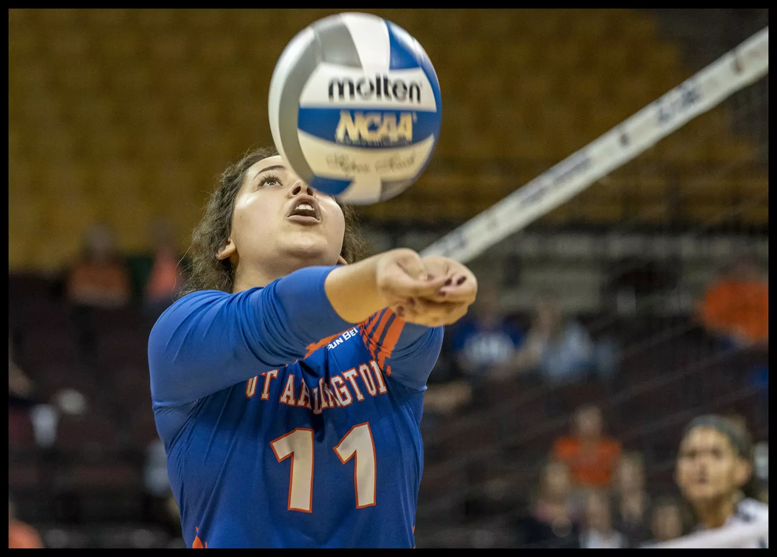 VOLLEYBALL - 2019 - Sun Belt Conference Championship, First Round - Thurs, 21 Nov, Match 2 (7) UTA vs (6) Appalachian State, 1930L