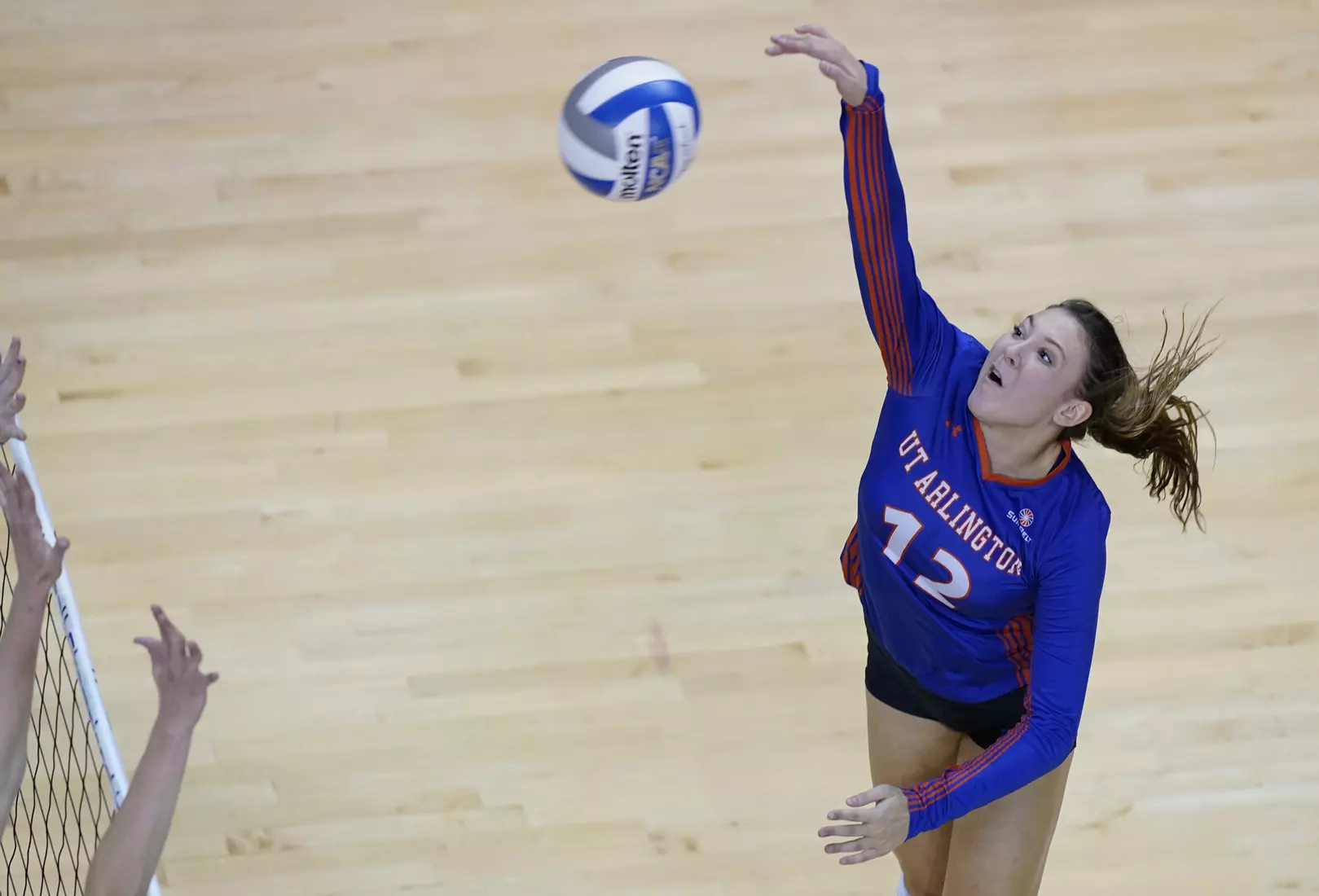 2 - VOLLEYBALL - 2019 - Sun Belt Conference Championship, Quarterfinals, Fri, 22 Nov, Match 4, UTA vs (3) South Alabama, 1930L