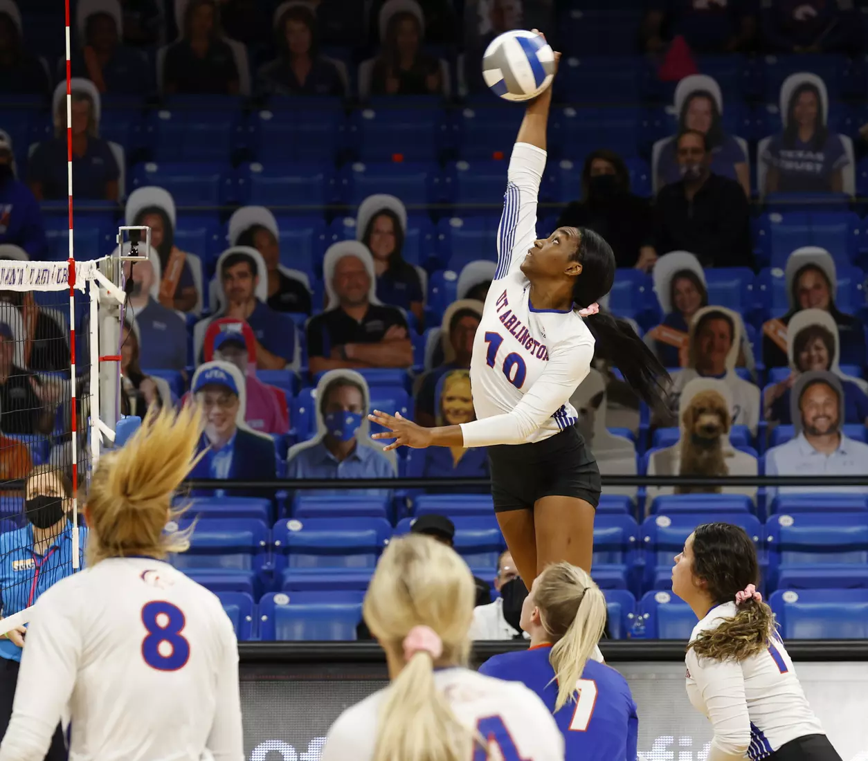 UTA vs Texas State volleyball in Arlington, Texas on October 30, 2020. (Photo/Sharon Ellman)