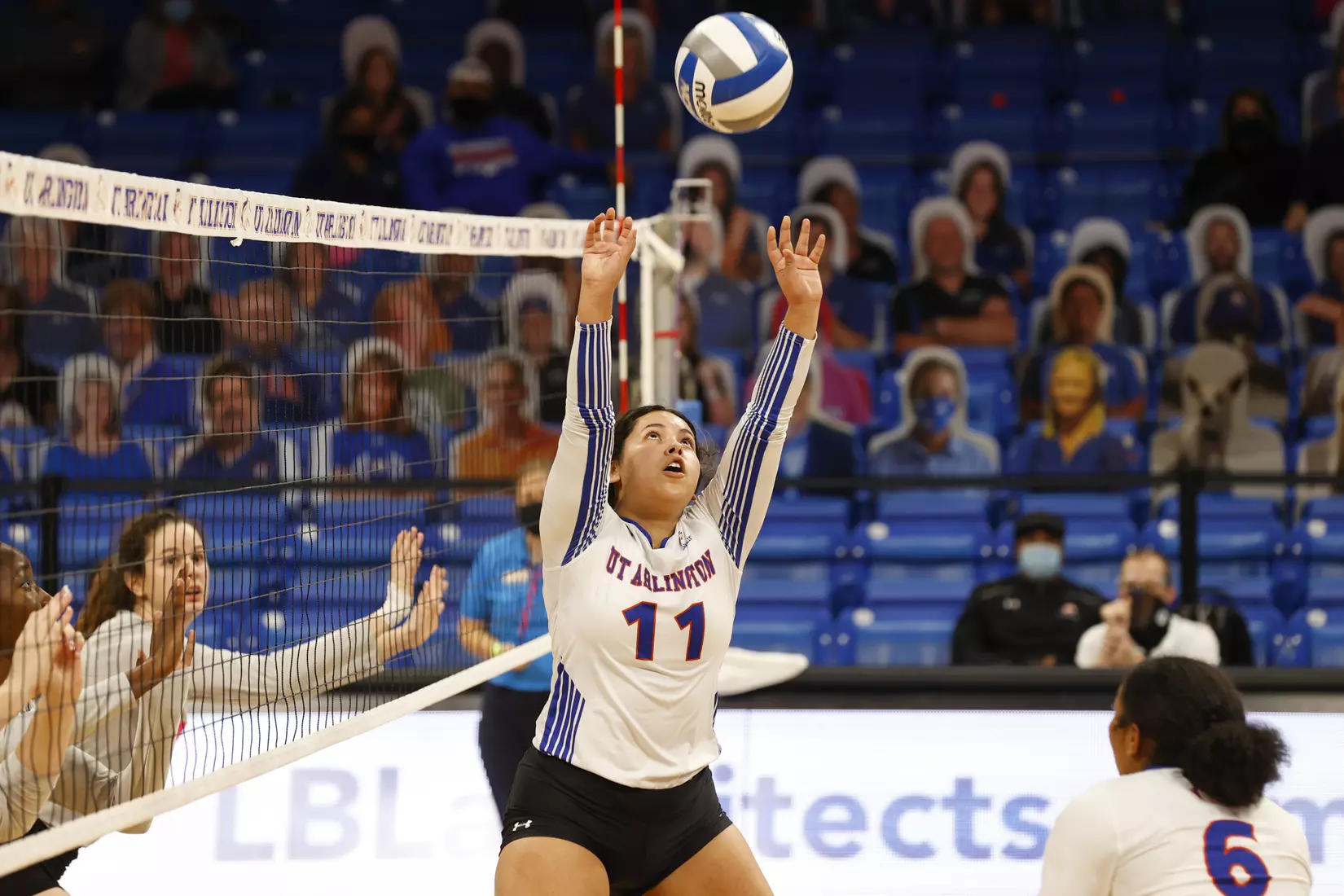 UTA vs Texas State volleyball in Arlington, Texas on October 30, 2020. (Photo/Sharon Ellman)
