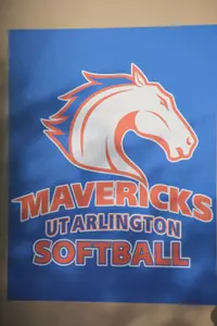 UT Arlington softball