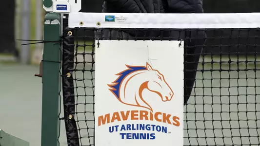 Tennis Court Net