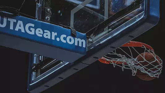 Basketball Hoop Net