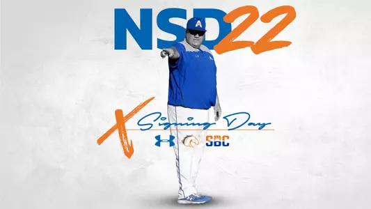 NSD22 Baseball