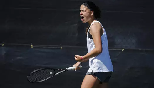 Pons Celebrate