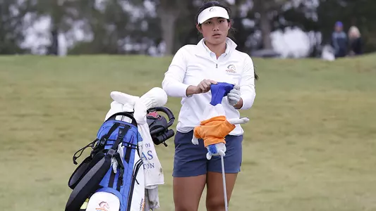 Janane Tan Head Cover