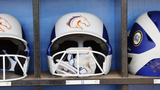 SB Helmet